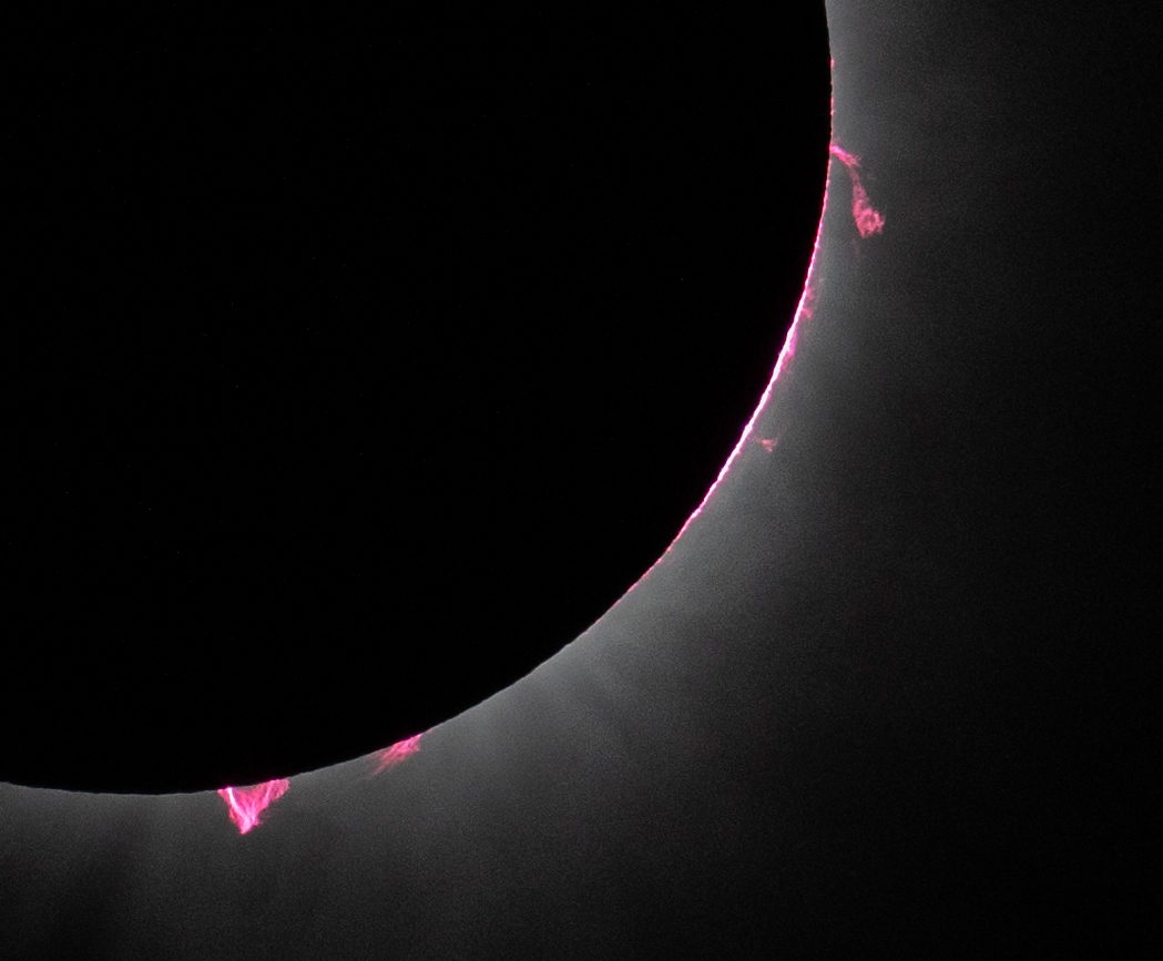 Disco negro de la Luna sobre el Sol con lenguas rosadas asomando por el borde y la corona blanca alrededor.